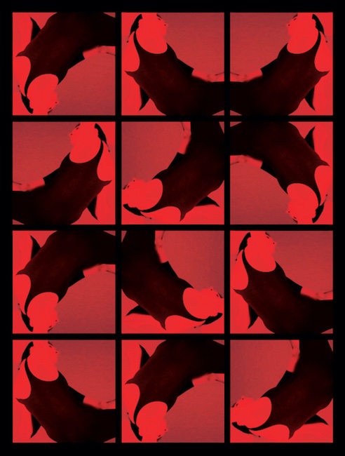 Özlem Paker – Multiply 03