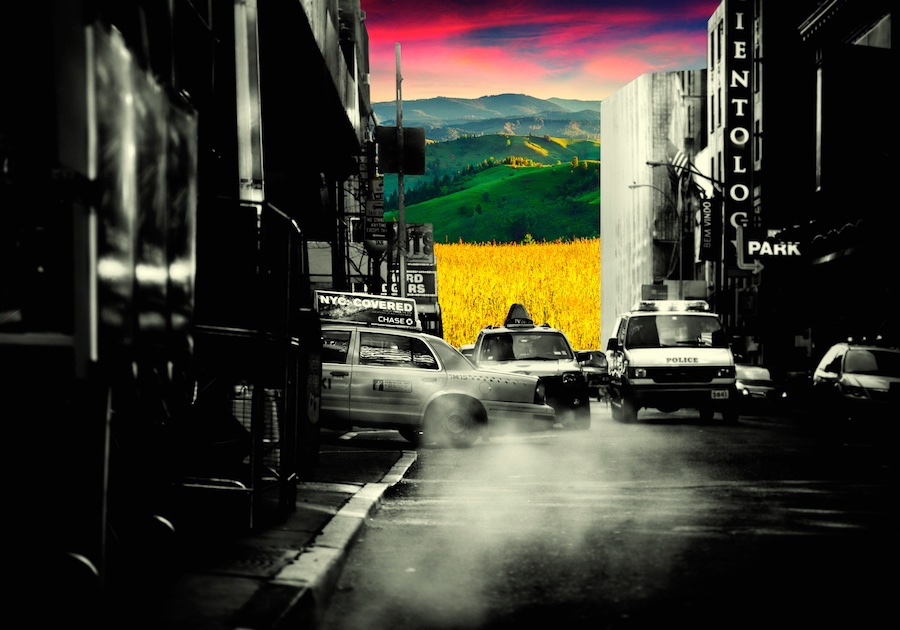 Merve Hasman – Journey IX