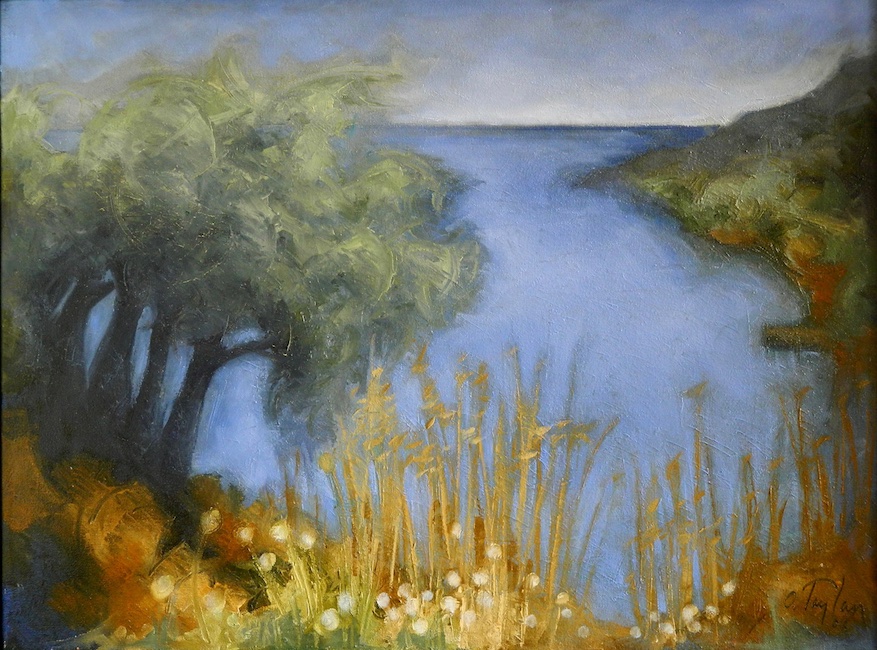 Orhan Taylan – XI